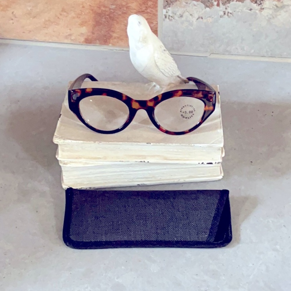 Skylar Reader with case